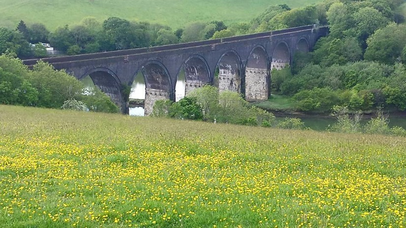 Forder viaduct from Lower Southground field